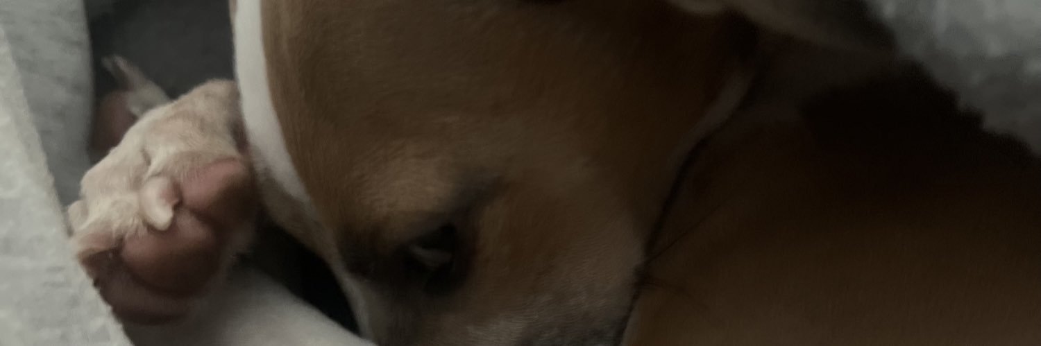 kkaf35's profile banner image