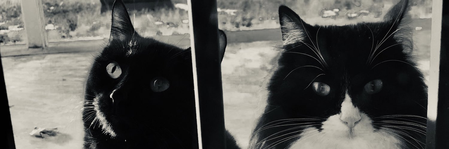 CHUCK_E_'s profile banner image