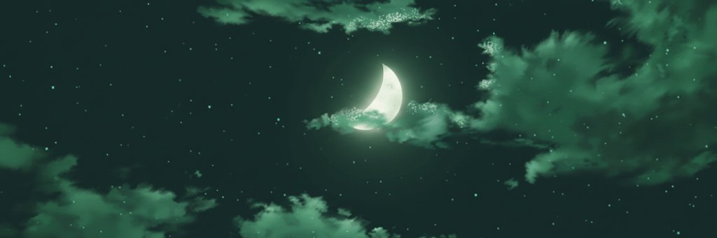 Succulent Valkyrie 🌵 banner