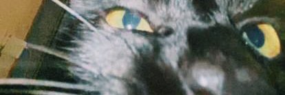 yeokenz0's profile banner image