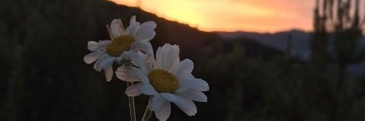 desikusuma95's profile banner image