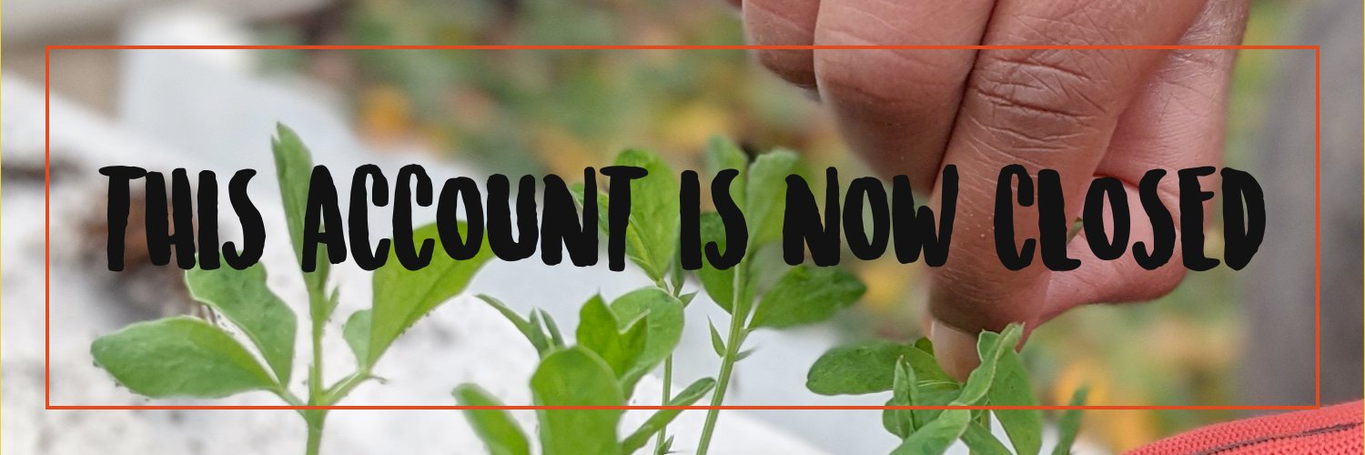 MindFoodCIO.bsky.social banner