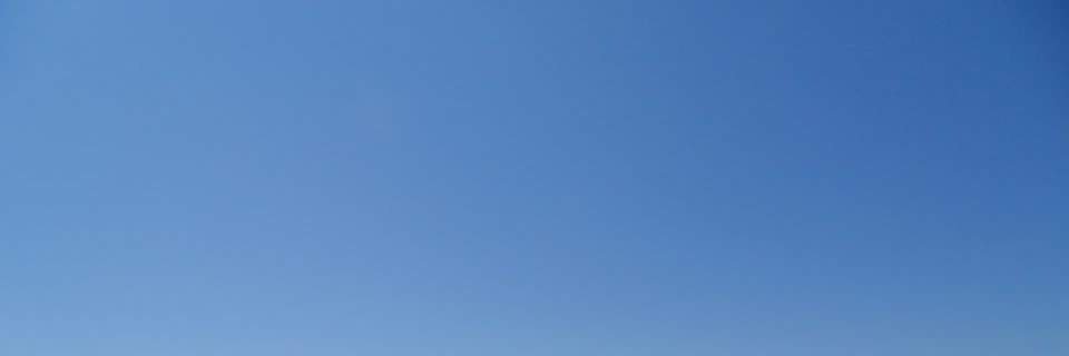 Morgane banner