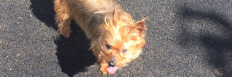 lucyoneilxx's profile banner image
