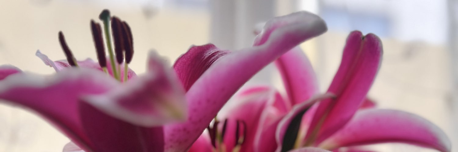prluisa_'s profile banner image