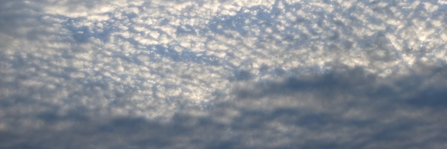 darlajvq's profile banner image