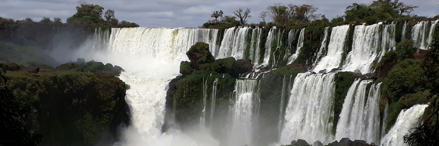 roberto pereira banner