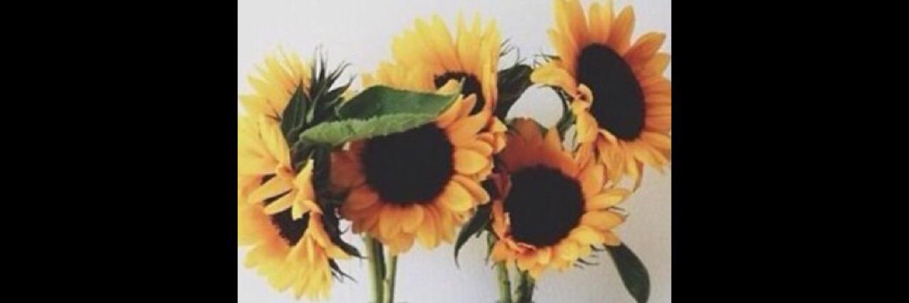 _brittlove's profile banner image