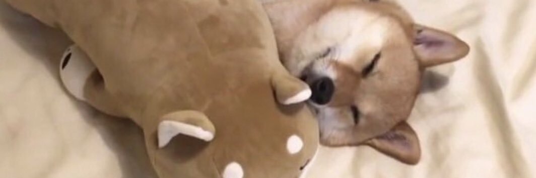 DavidPG__'s profile banner image