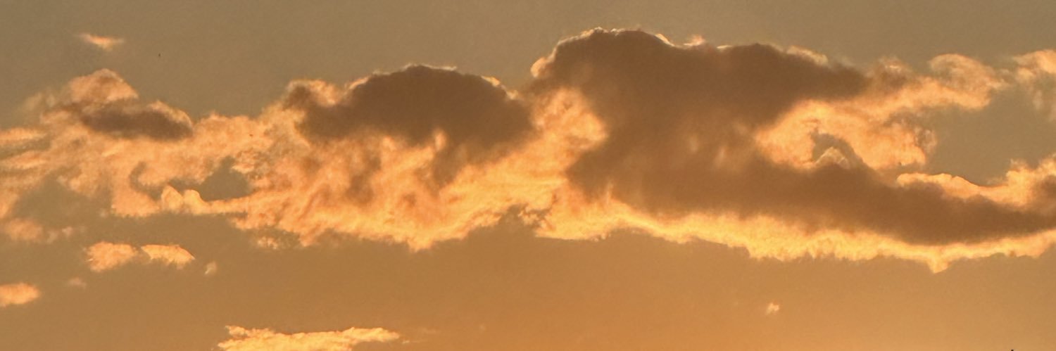 dkdkbombon's profile banner image