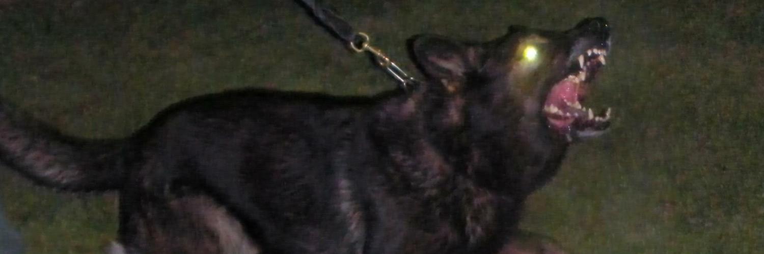 K9Mac69's profile banner image