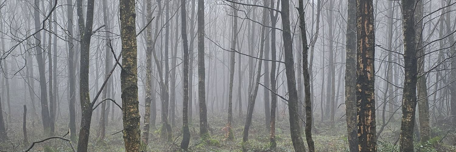 ablakeuk's profile banner image
