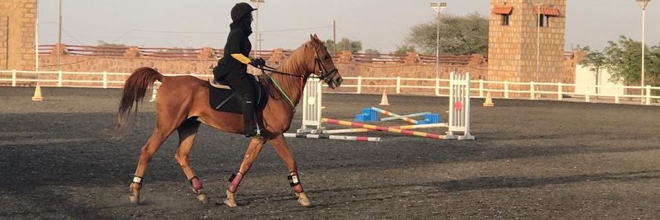 Lady_rak's profile banner image