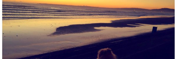 sophieewright Profile Banner