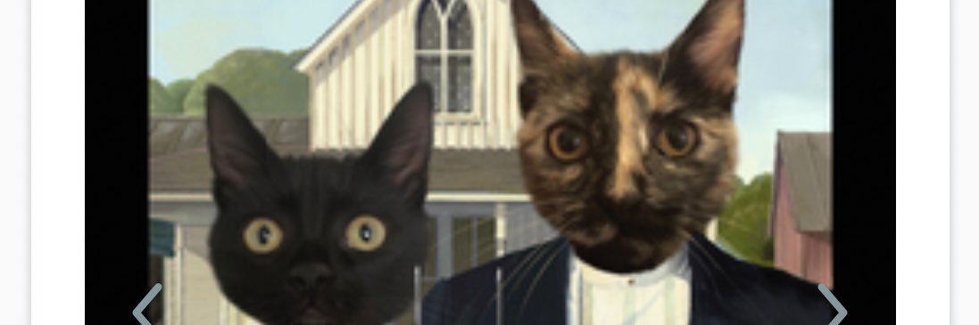 alyssaanne20's profile banner image
