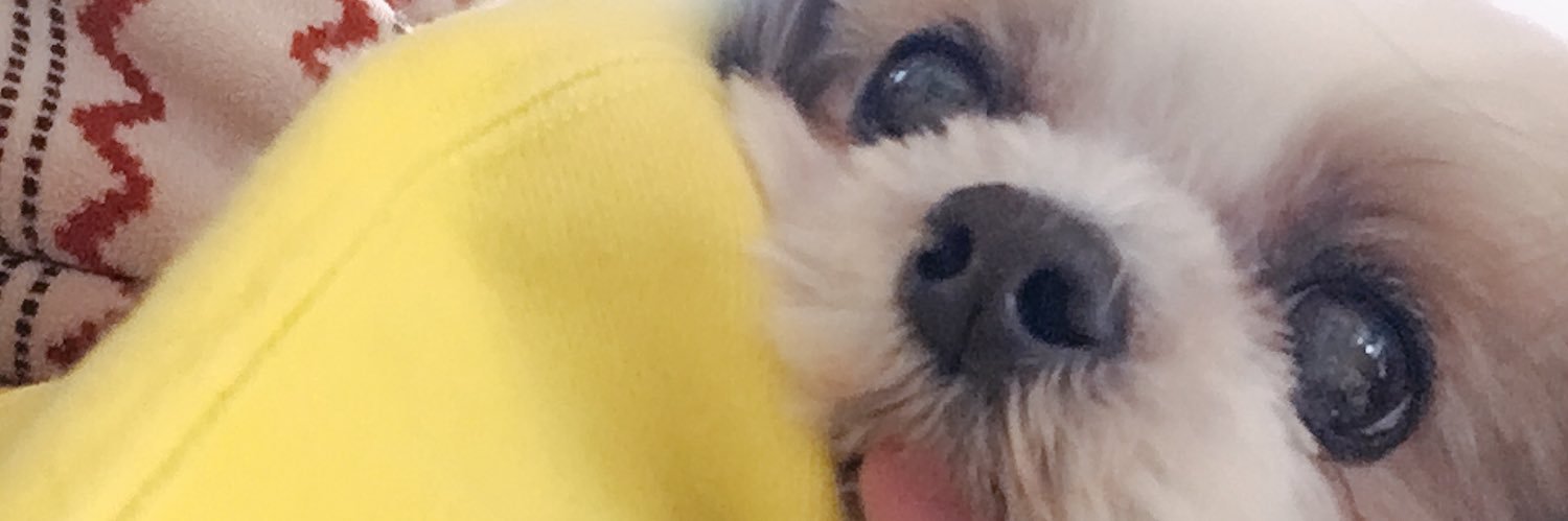 kino_____69's profile banner image