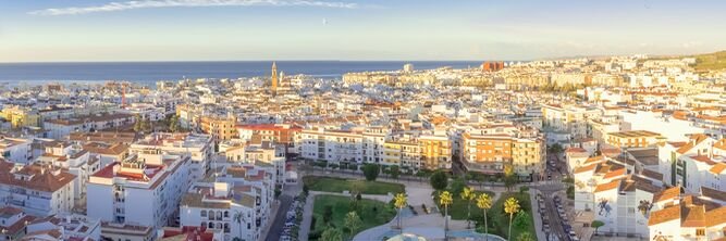 Alberto Bressan banner