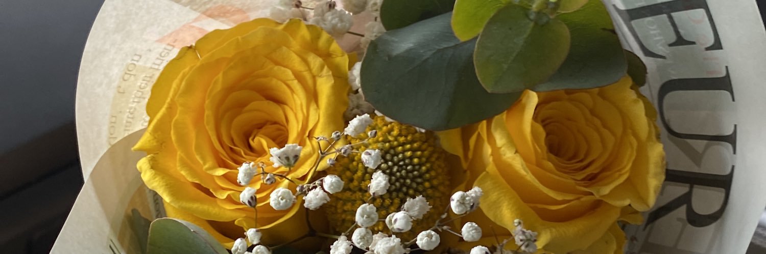 CarmenSamudio29's profile banner image