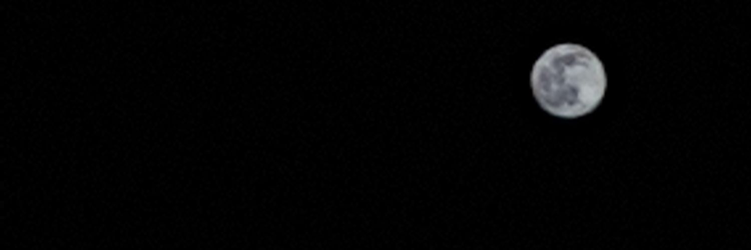 Minty1313's profile banner image