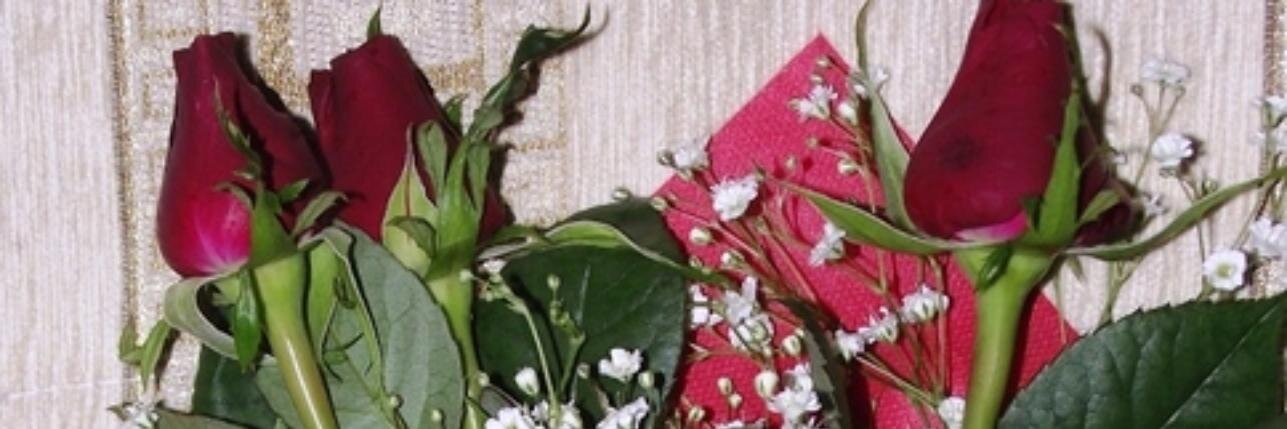 PerihanKrtay's profile banner image