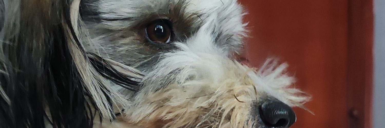 HaynerCastillo's profile banner image
