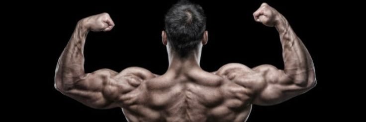 bball_gainz's profile banner image