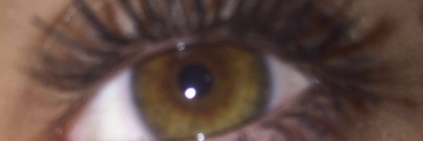 Bartolimichi Profile Banner