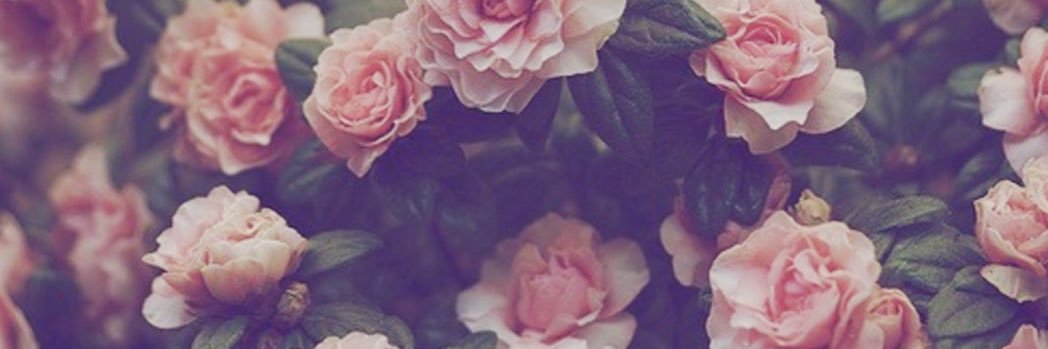 drtota9's profile banner image