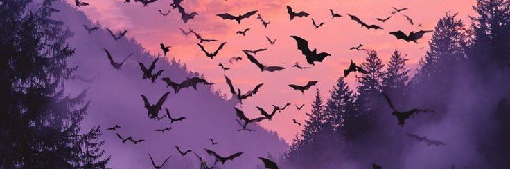 VenomS_X's profile banner image