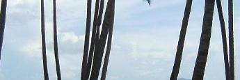 MeanKittyClaws's profile banner image