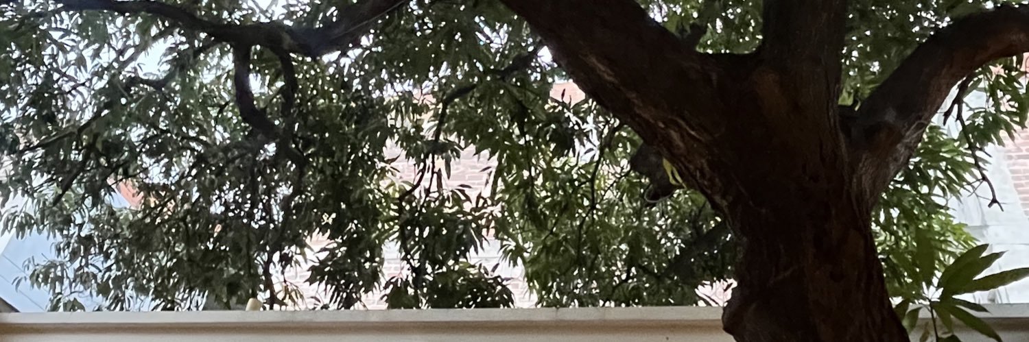 littzi's profile banner image