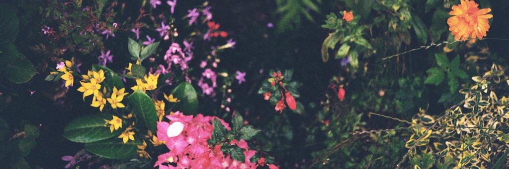 richquintyn's profile banner image