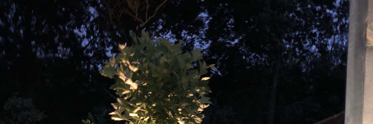 VerhulstRob's profile banner image