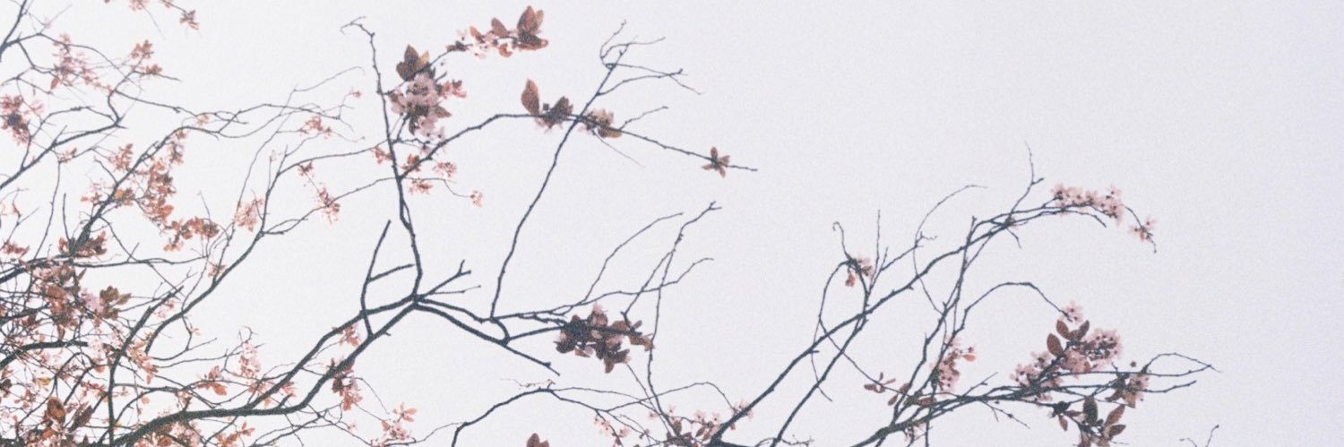 imogenIoI's profile banner image