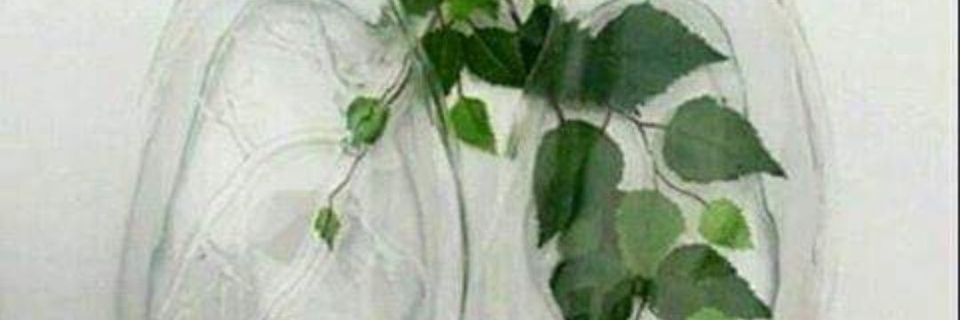 BrizelLopezS's profile banner image