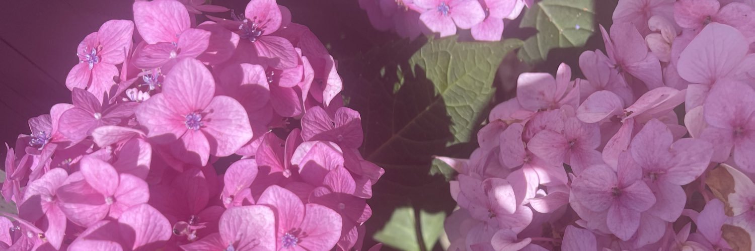 KellyPollock's profile banner image