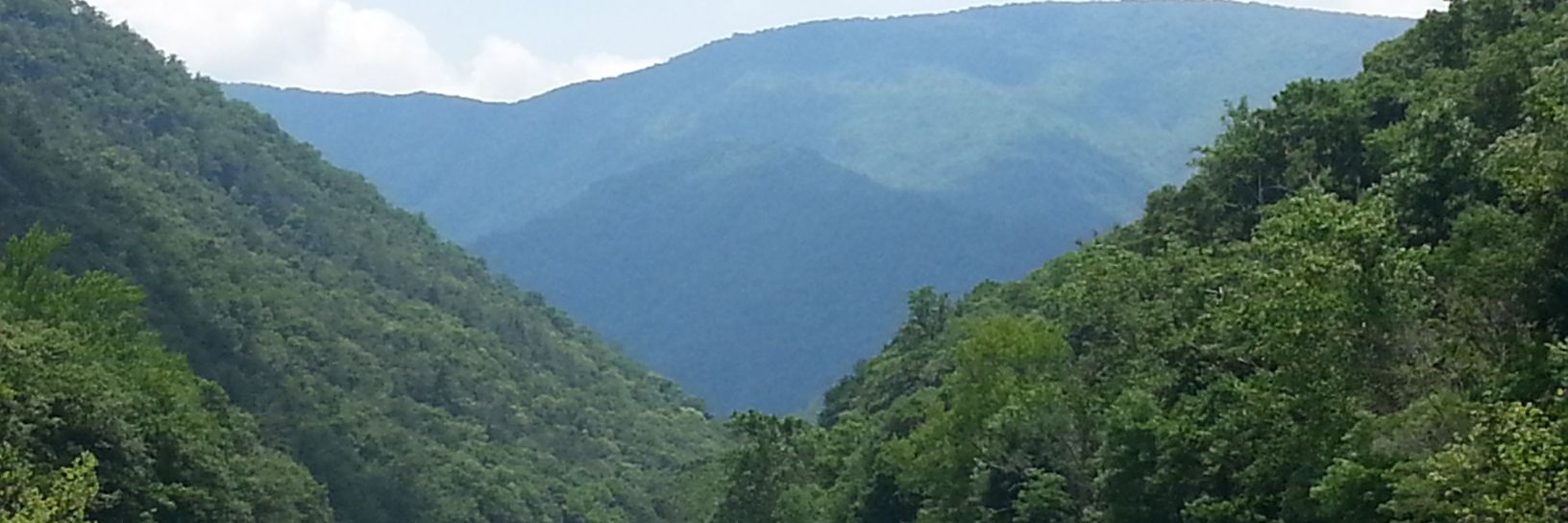 surlygyrl's profile banner image