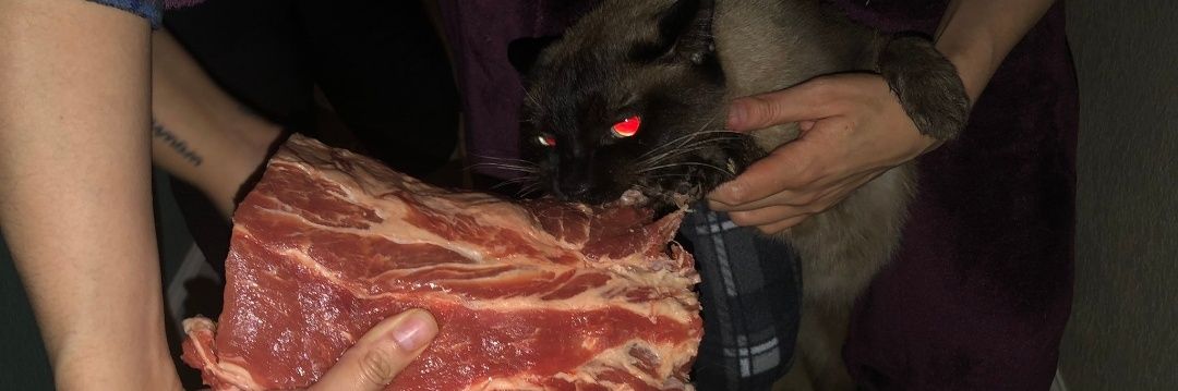 Danny Mata KRDO banner