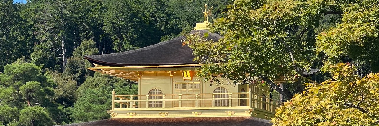 Ryan ₿rovvn banner