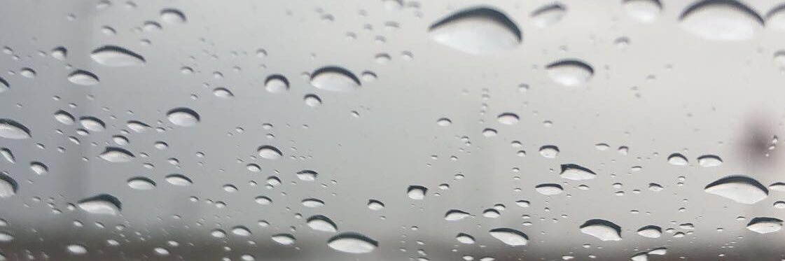 Rexmal's profile banner image