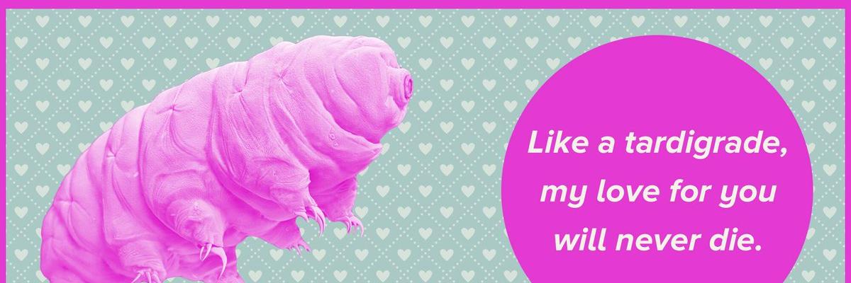 MarlynnL's profile banner image