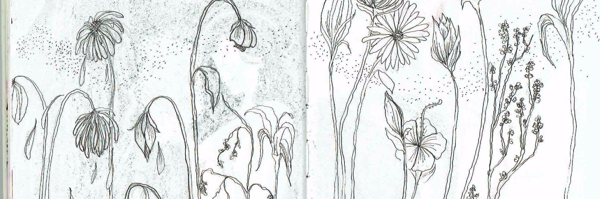 risathebi's profile banner image