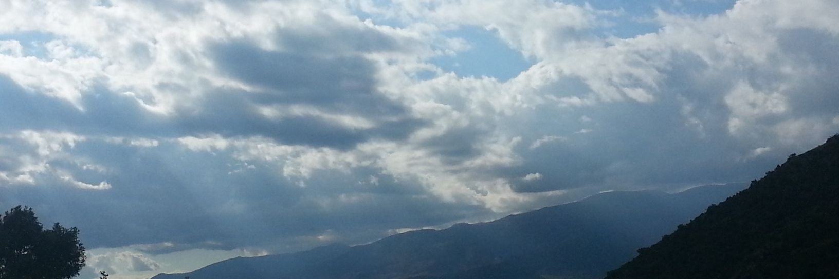 cocowdt's profile banner image