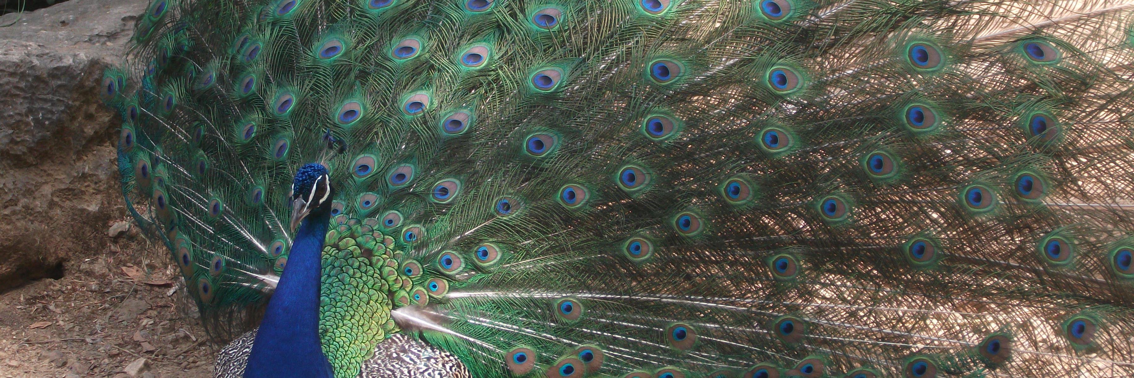 Artyfarty1982's profile banner image