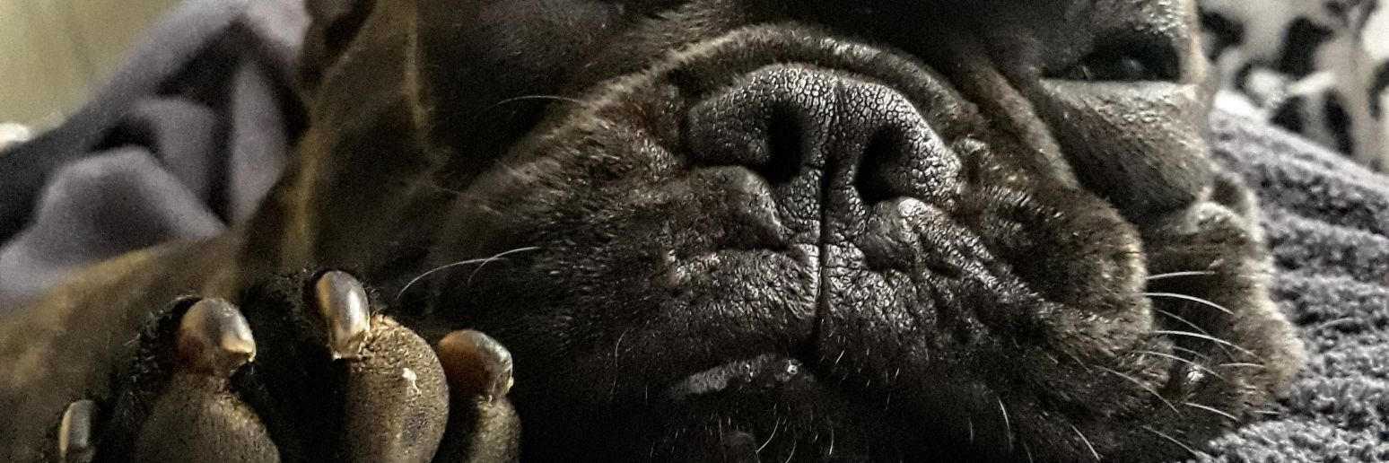moonkeyyy's profile banner image