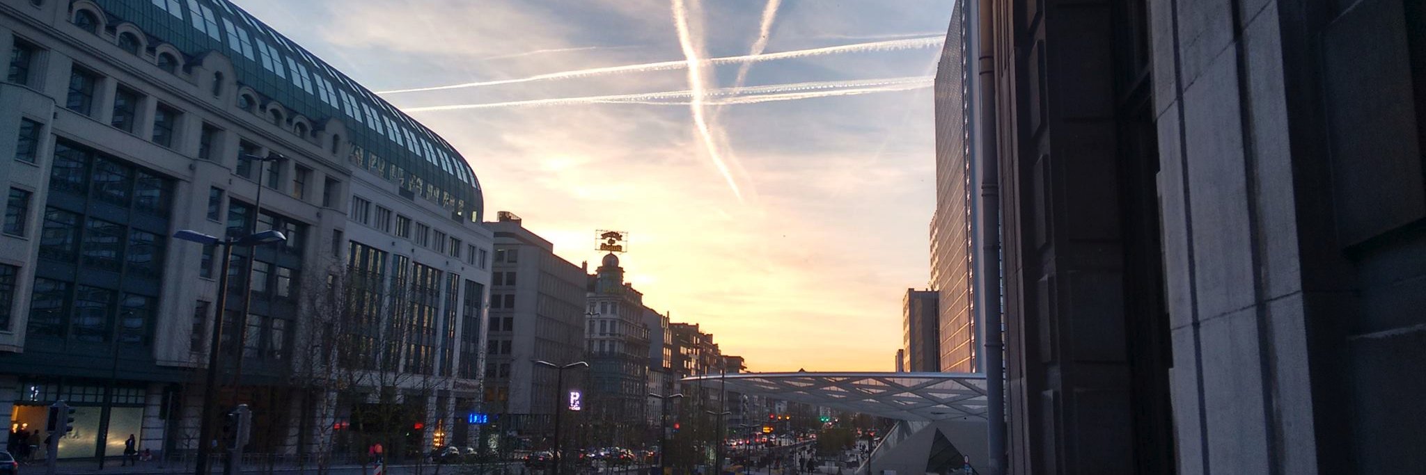 Matt Hatfield banner