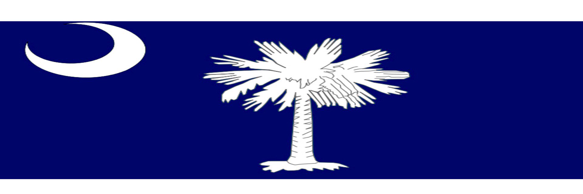 PalmettoChapter banner