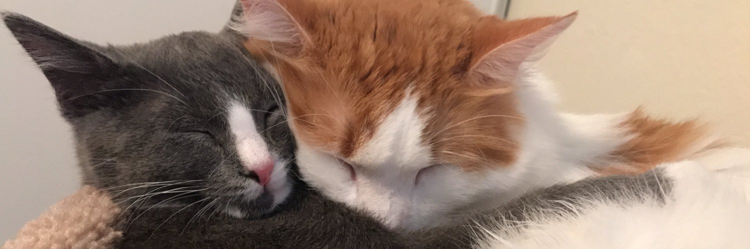 cammbill's profile banner image