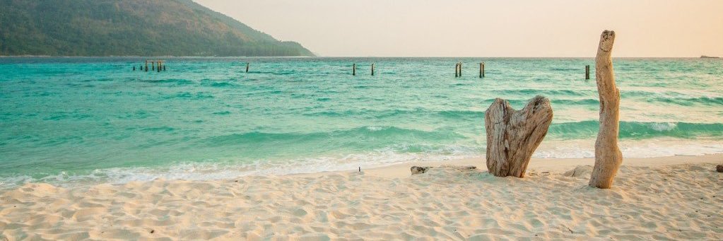 amyluca83's profile banner image