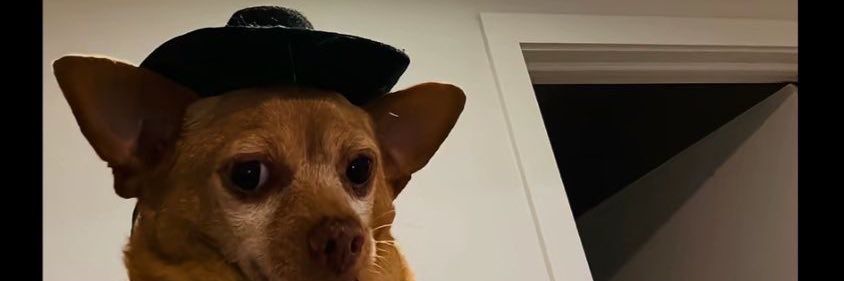 OLaBep's profile banner image